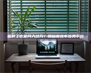 永州临时工也能月入过万？揭秘高效率任务平台 第1张