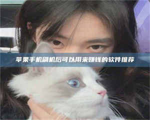 永州苹果手机刷机后可以用来赚钱的软件推荐 第1张